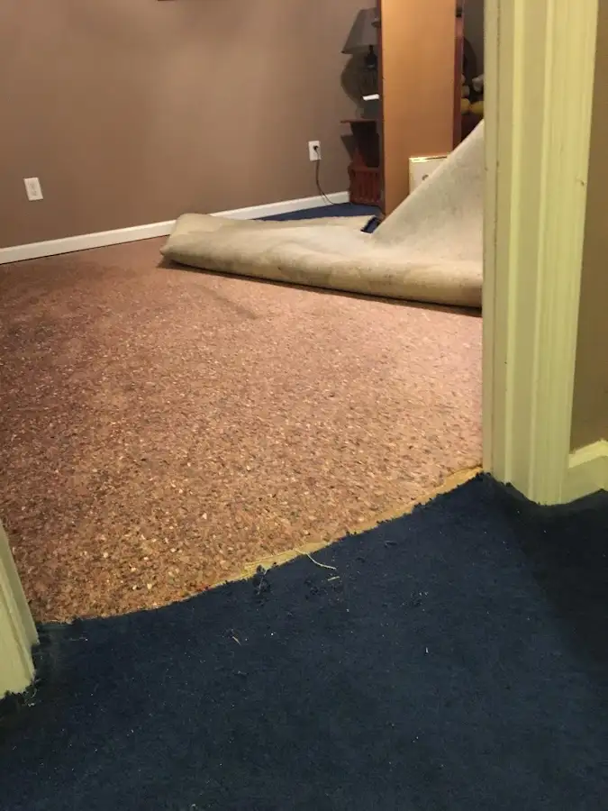 Carpet pad removal revealing water damage during Drying & Dehumidification in Morris